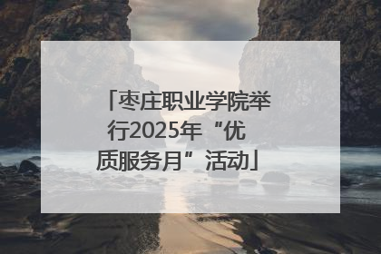 枣庄职业学院举行2025年“优质服务月”活动