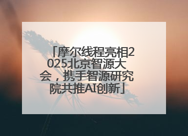 摩尔线程亮相2025北京智源大会，携手智源研究院共推AI创新