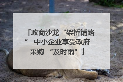 政商沙龙“架桥铺路” 中小企业享受政府采购 “及时雨”