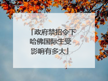 政府禁招令下 哈佛国际生受影响有多大