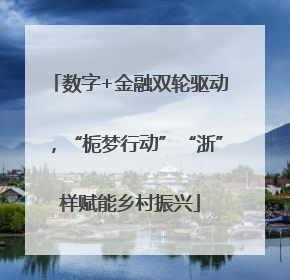 数字+金融双轮驱动，“栀梦行动”“浙”样赋能乡村振兴