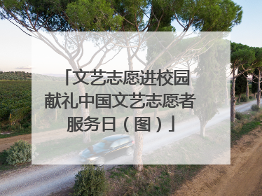 文艺志愿进校园 献礼中国文艺志愿者服务日（图）