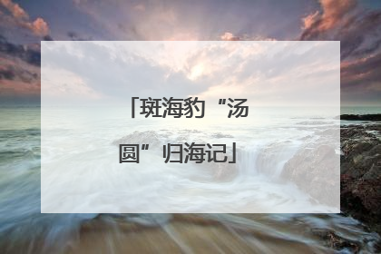 斑海豹“汤圆”归海记