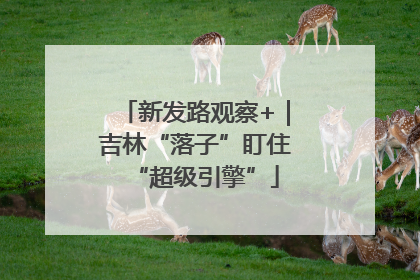 新发路观察+｜吉林“落子”盯住“超级引擎”