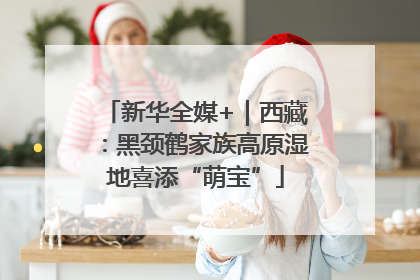 新华全媒+｜西藏：黑颈鹤家族高原湿地喜添“萌宝”