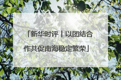 新华时评丨以团结合作共促南海稳定繁荣