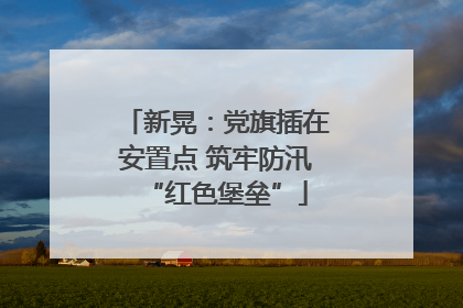 新晃：党旗插在安置点 筑牢防汛“红色堡垒”