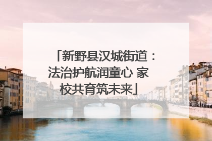 新野县汉城街道：法治护航润童心 家校共育筑未来