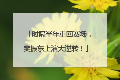 时隔半年重回赛场，樊振东上演大逆转！
