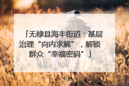 无棣县海丰街道：基层治理“向内求解”，解锁群众“幸福密码”