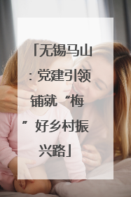 无锡马山：党建引领 铺就“梅”好乡村振兴路