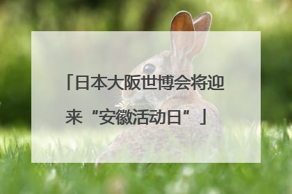 日本大阪世博会将迎来“安徽活动日”