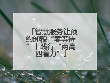 智慧服务让预约卸粮“零等待”丨践行“两高四着力”