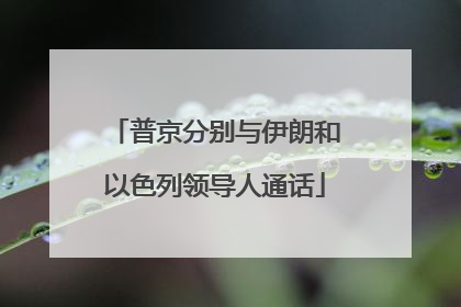 普京分别与伊朗和以色列领导人通话