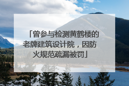 曾参与检测黄鹤楼的老牌建筑设计院，因防火规范疏漏被罚