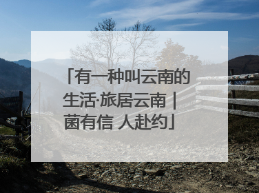 有一种叫云南的生活·旅居云南｜菌有信 人赴约