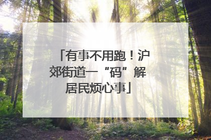 有事不用跑！沪郊街道一“码”解居民烦心事