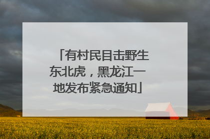 有村民目击野生东北虎，黑龙江一地发布紧急通知