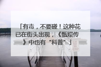 有毒，不要碰！这种花已在街头出现，《甄嬛传》中也有“科普”