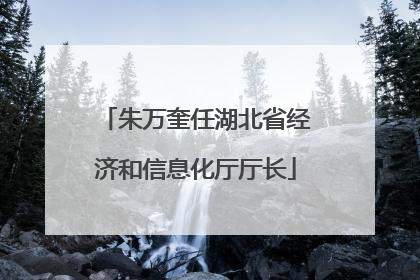 朱万奎任湖北省经济和信息化厅厅长