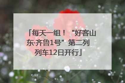 每天一组！“好客山东·齐鲁1号”第二列列车12日开行
