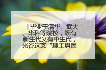 毕业于清华、武大、华科等院校，既有新生代又有中生代，光谷这支“理工男团”为何“出道”？
