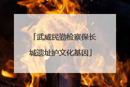 武威民勤检察保长城遗址护文化基因