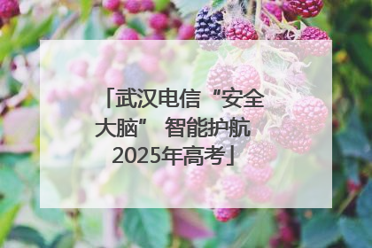 武汉电信“安全大脑” 智能护航2025年高考