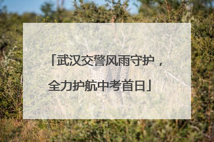 武汉交警风雨守护，全力护航中考首日