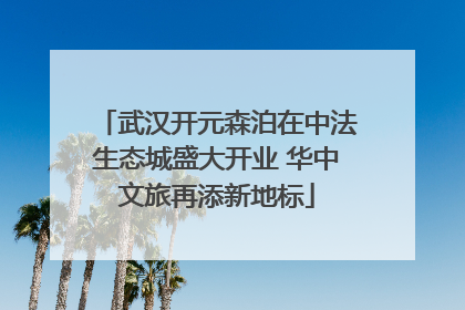 武汉开元森泊在中法生态城盛大开业 华中文旅再添新地标