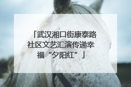 武汉湘口街康泰路社区文艺汇演传递幸福“夕阳红”