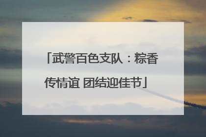 武警百色支队：粽香传情谊 团结迎佳节