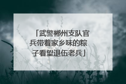 武警郴州支队官兵带着家乡味的粽子看望退伍老兵