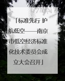 标准先行 护航低空——南京市低空经济标准化技术委员会成立大会召开