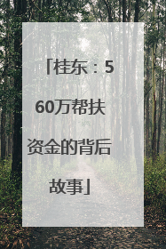 桂东：560万帮扶资金的背后故事