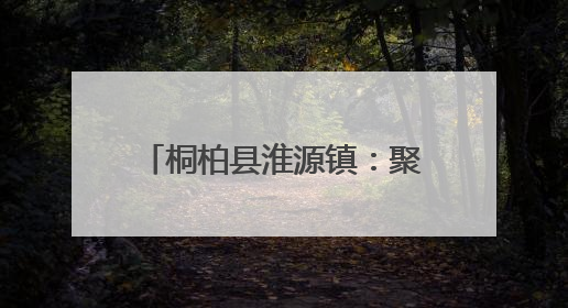 桐柏县淮源镇：聚焦民生实事 激发人大工作新动能