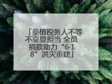 桑植税务人不等不靠显担当 全员捐款助力“6·18”洪灾重建