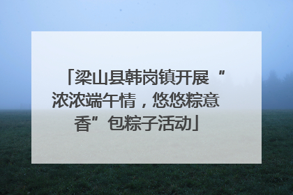 梁山县韩岗镇开展“浓浓端午情，悠悠粽意香”包粽子活动