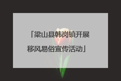 梁山县韩岗镇开展移风易俗宣传活动