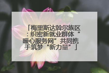 梅里斯达斡尔族区：织密新就业群体“暖心服务网”共同携手筑梦“新力量”