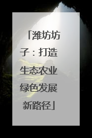 潍坊坊子：打造生态农业绿色发展新路径