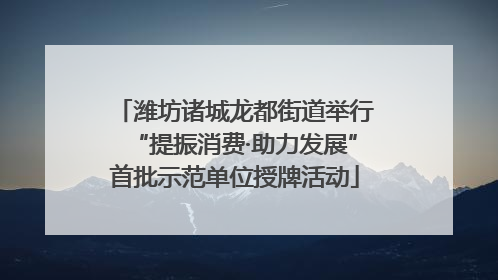 潍坊诸城龙都街道举行“提振消费·助力发展”首批示范单位授牌活动