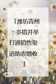 潍坊青州：多措并举打通销售渠道助农增收