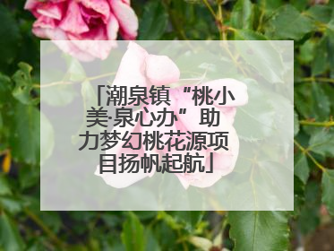 潮泉镇“桃小美·泉心办”助力梦幻桃花源项目扬帆起航