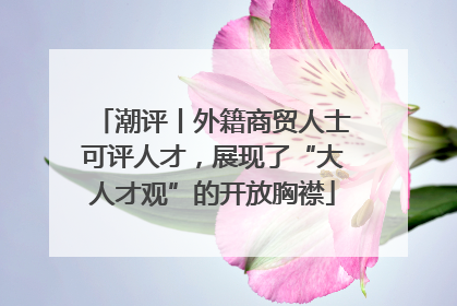 潮评丨外籍商贸人士可评人才，展现了“大人才观”的开放胸襟