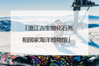 澄江古生物化石亮相国家海洋博物馆