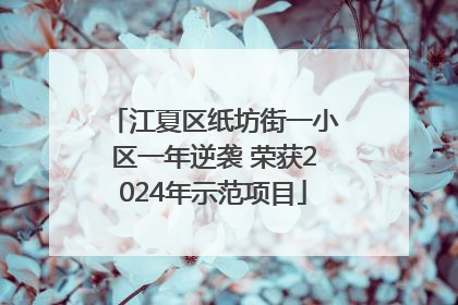 江夏区纸坊街一小区一年逆袭 荣获2024年示范项目