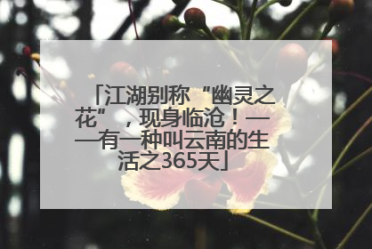 江湖别称“幽灵之花”，现身临沧！——有一种叫云南的生活之365天