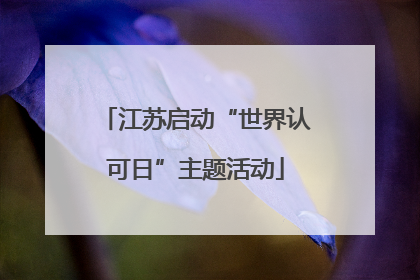 江苏启动“世界认可日”主题活动