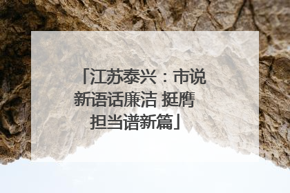 江苏泰兴：市说新语话廉洁 挺膺担当谱新篇